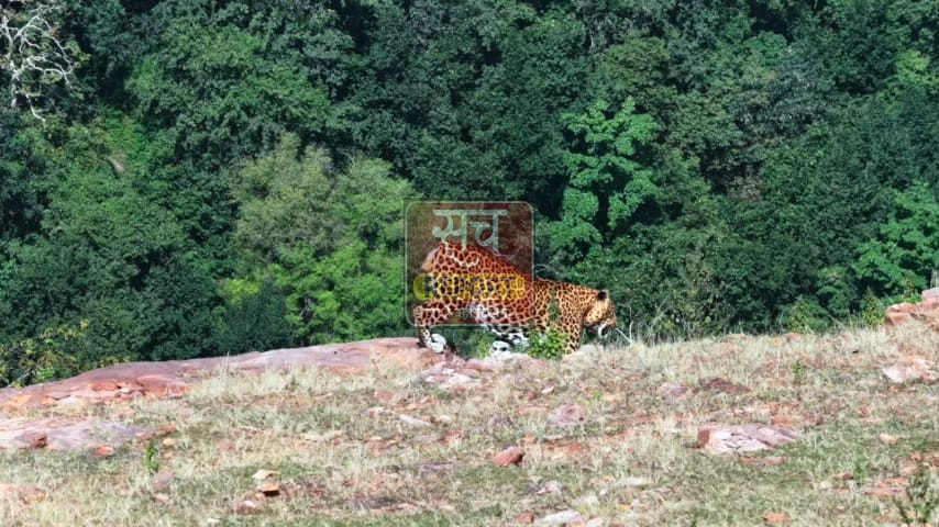 मुकुंदरा