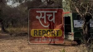 फिर जीवंत होगा ऐतिहासिक टाइगर कॉरीडोर