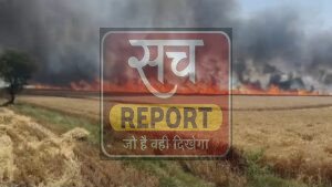 गेहूं की खड़ी फसल में भीषण आग, 100 बीघा में गेहूं जलकर राख